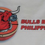 bulls-basket